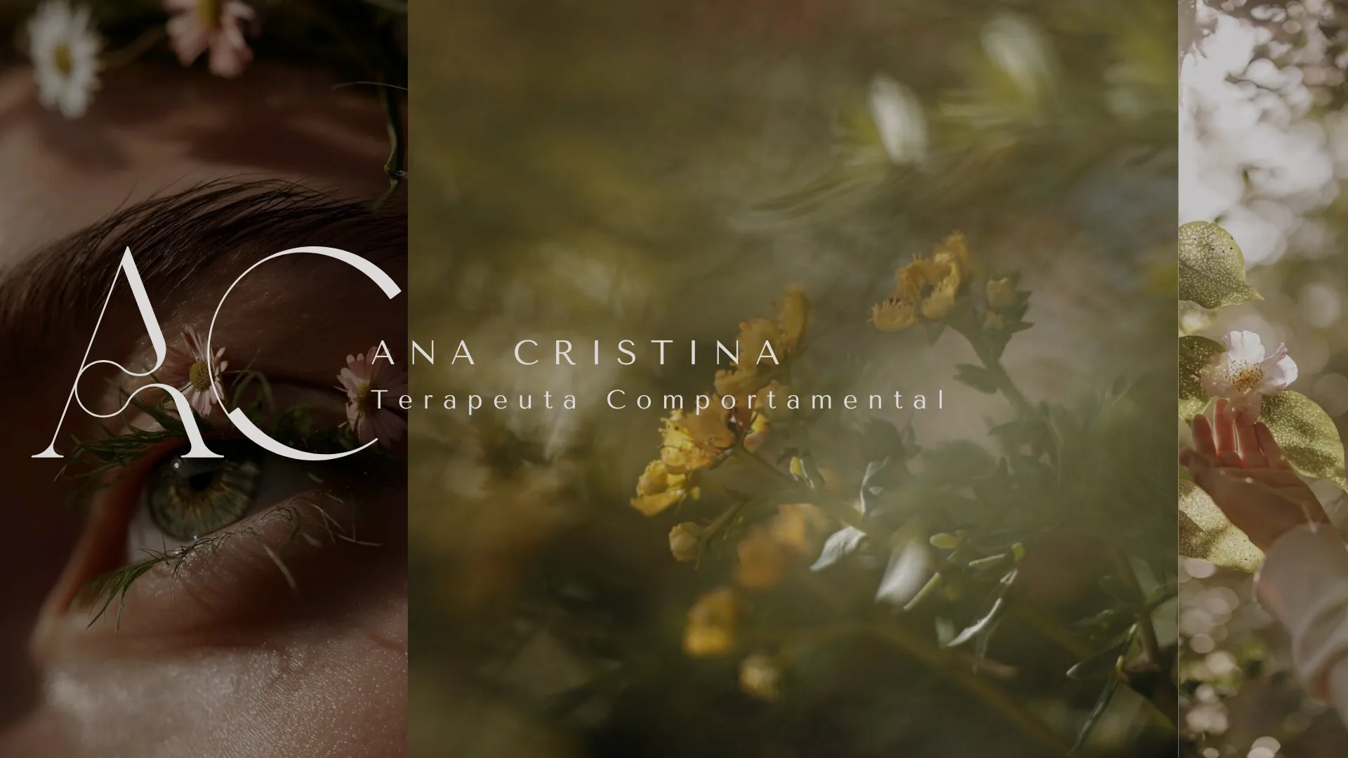 Ana Cristina - imagem 21