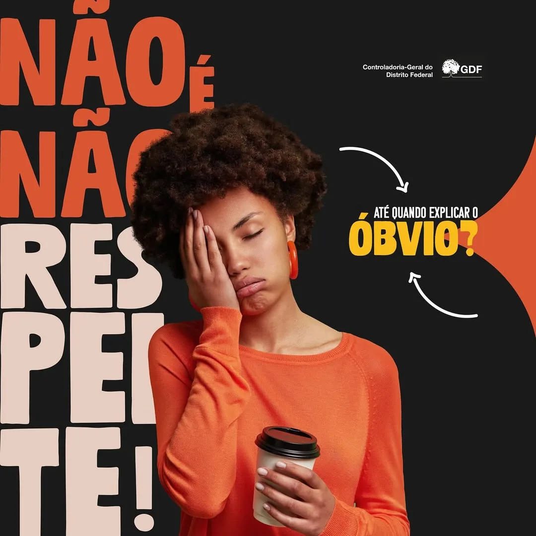 Até Quando Explicar o Óbvio? - imagem 8