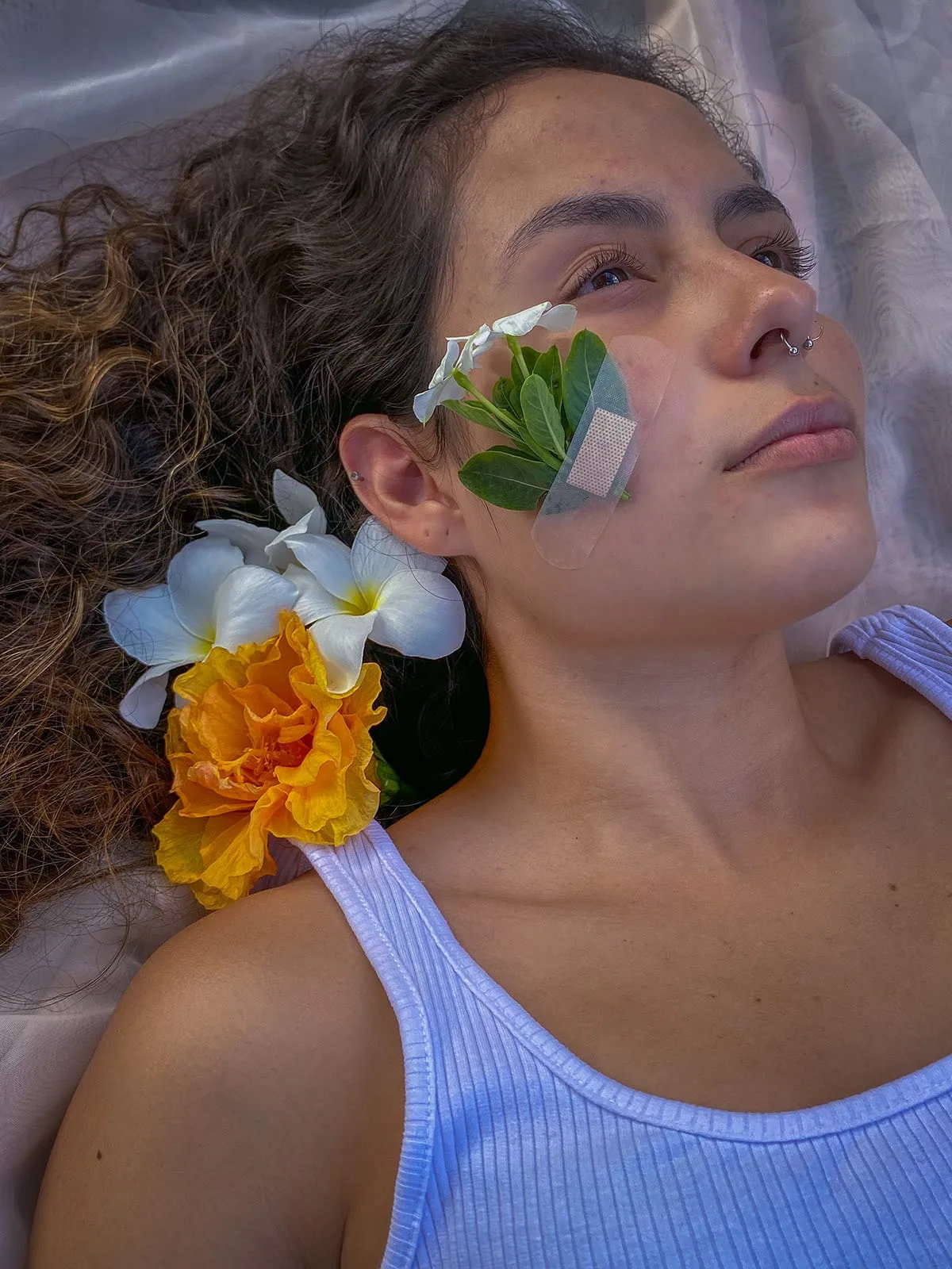 Florescer - imagem 20