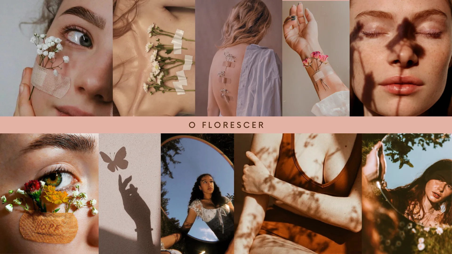 Florescer - imagem 9