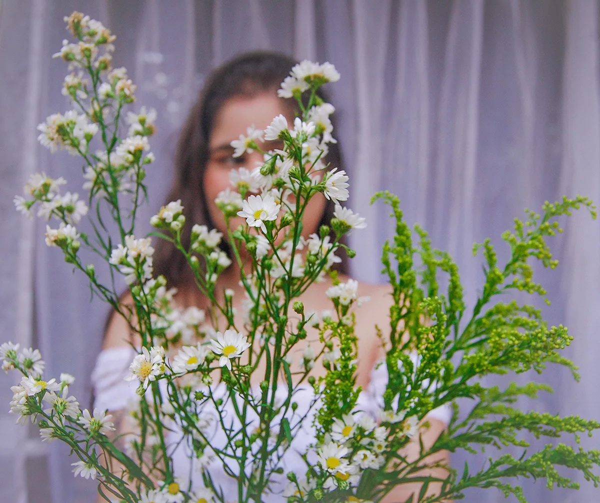 Florescer - imagem 13