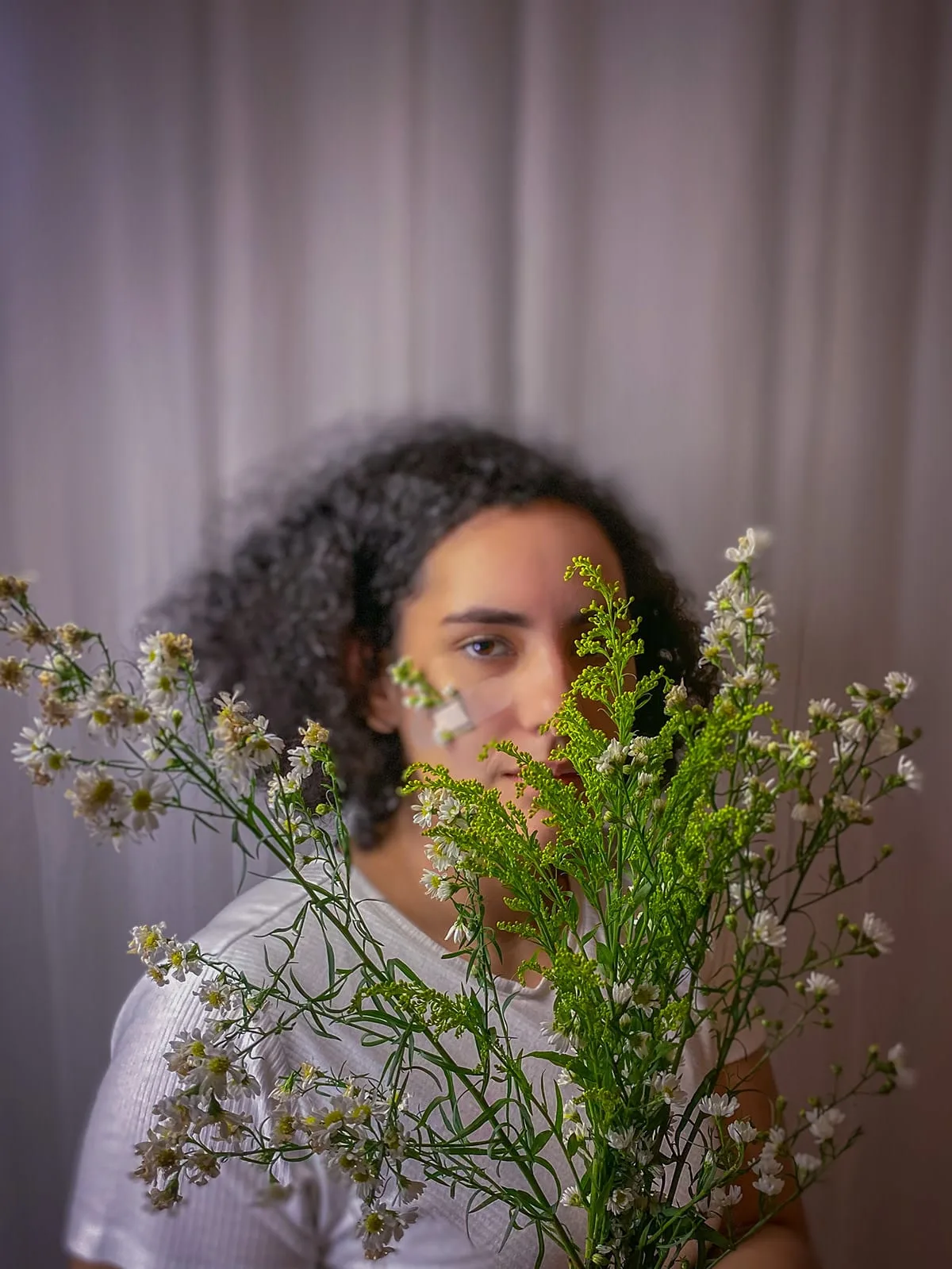 Florescer - imagem 14