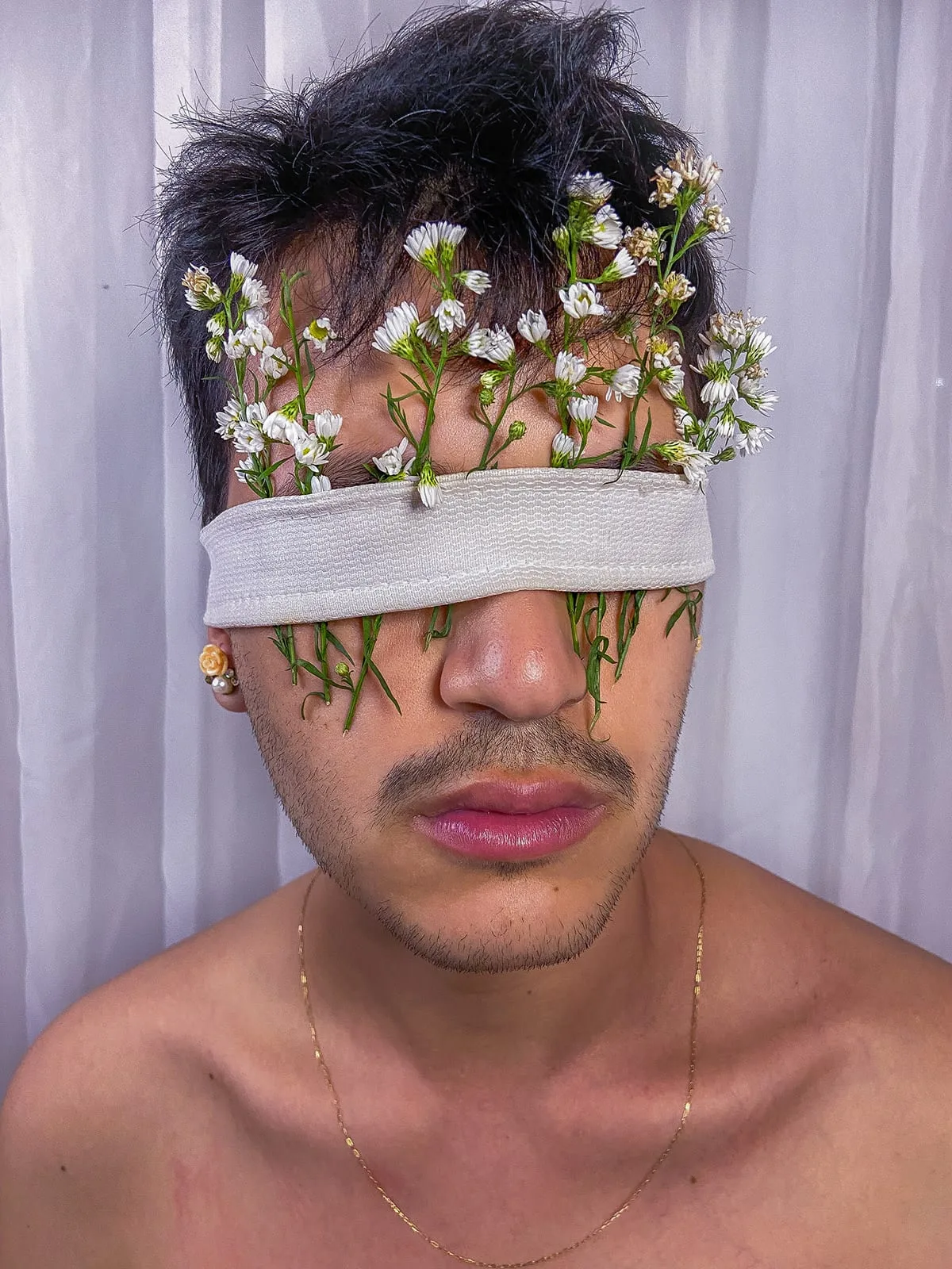 Florescer - imagem 15