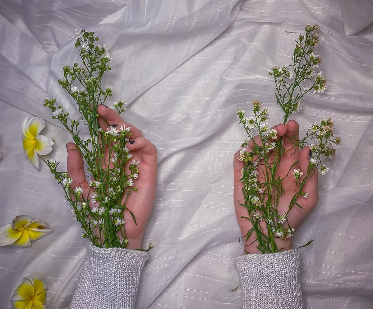 Florescer - imagem 16