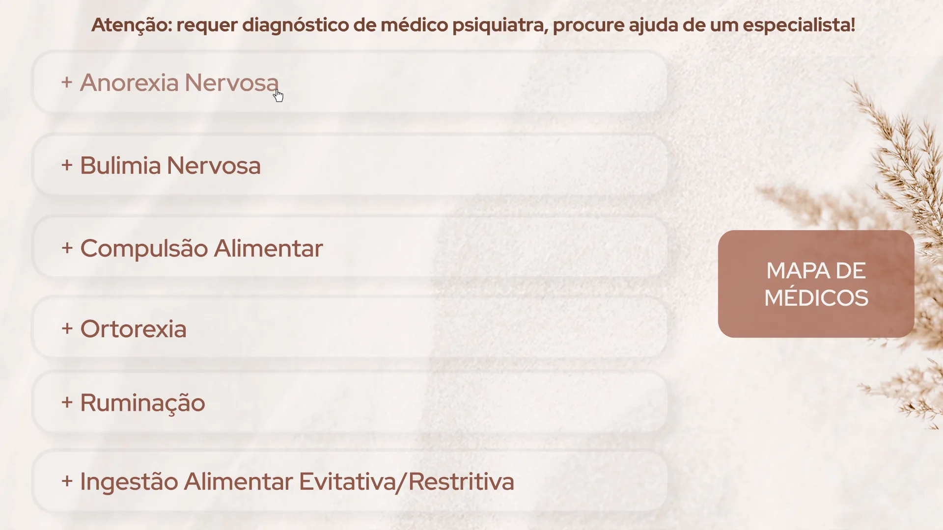 Florescer - imagem 28