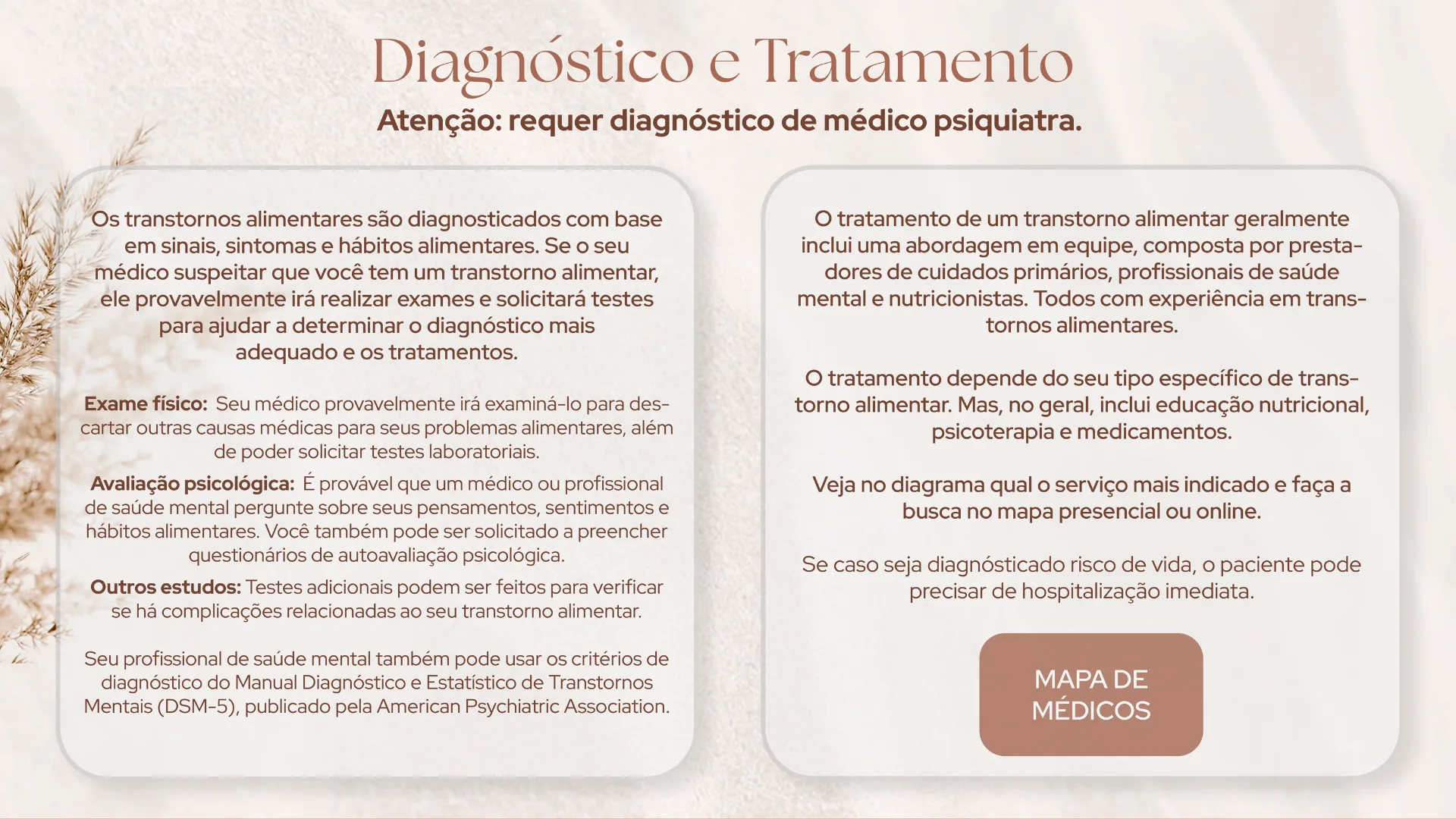 Florescer - imagem 35