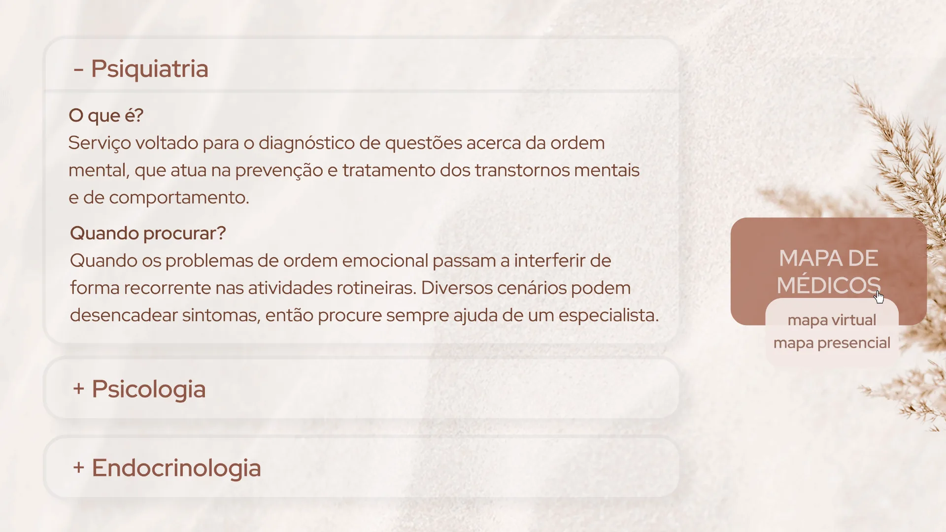 Florescer - imagem 40