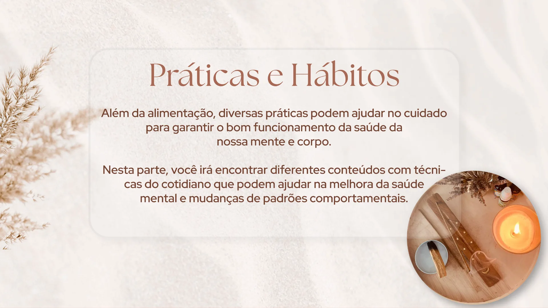 Florescer - imagem 52