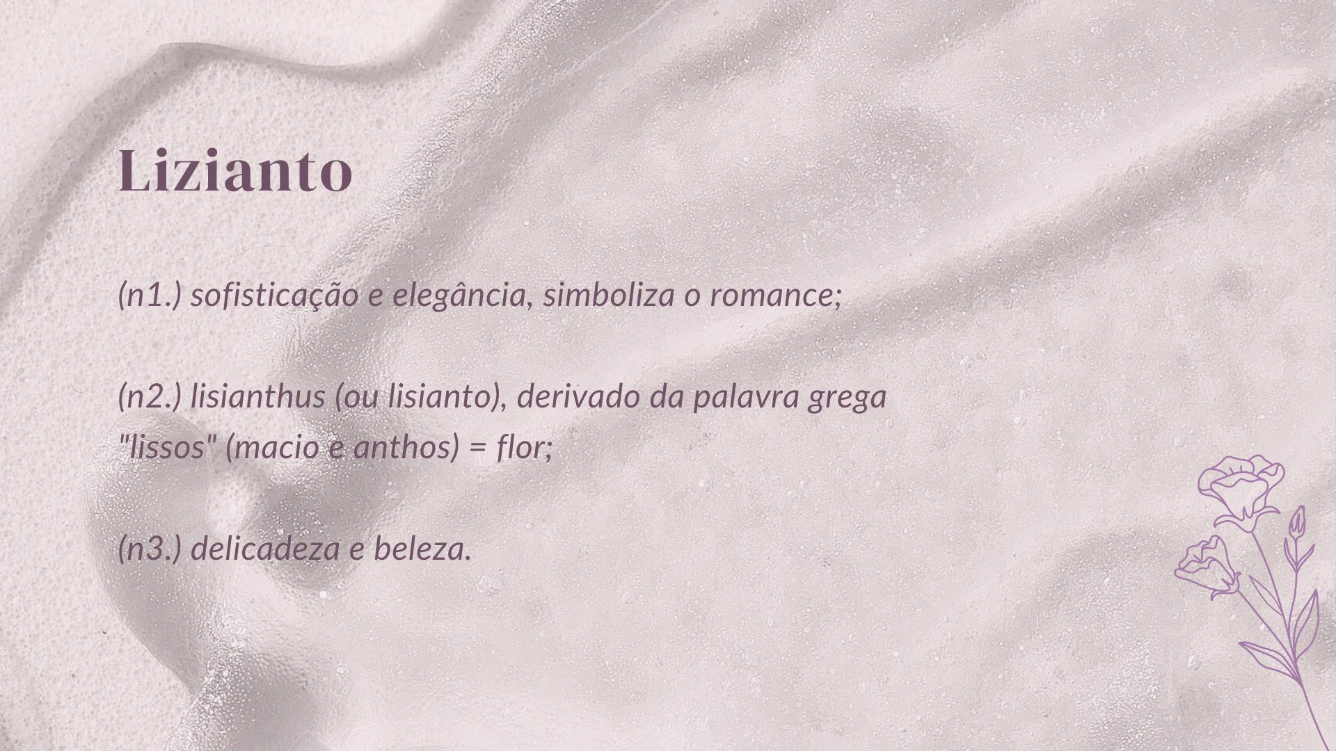 Lizianto - imagem 2