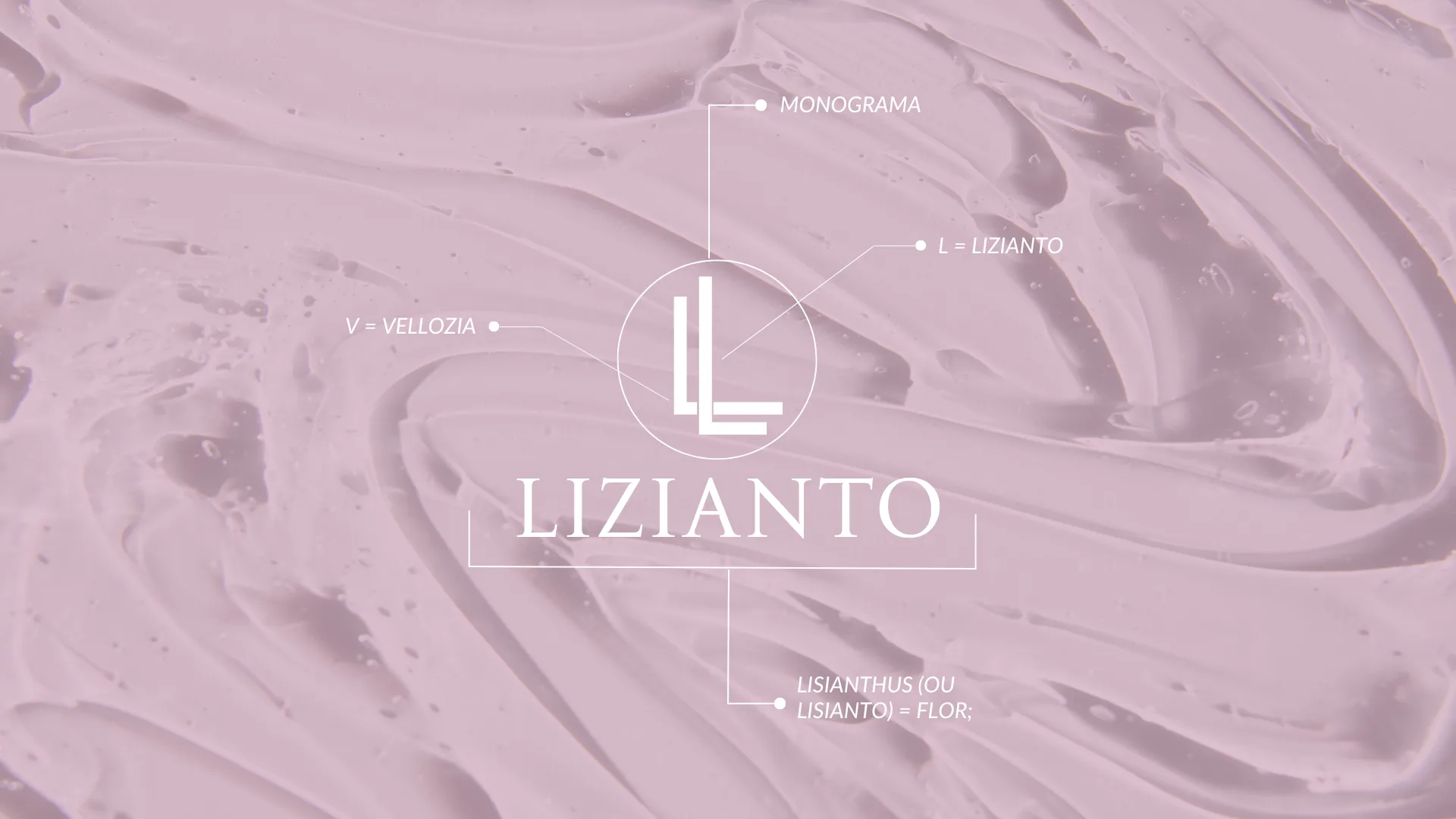 Lizianto - imagem 6